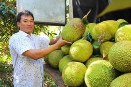 Chư Pưh: Nhiều mô hình kinh tế mới mang lại hiệu quả