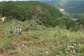 Đắk Nông: Phạt tù nguyên Phó Chủ tịch UBND huyện Tuy Đức