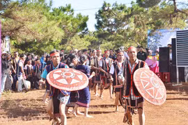 Ấn tượng Ngày hội cỏ hồng