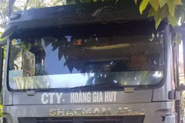 Pleiku: Tạm giữ xe tải gây tai nạn