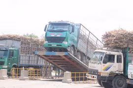 Xe vận chuyển mía phải có logo do HTX và nhà máy cấp