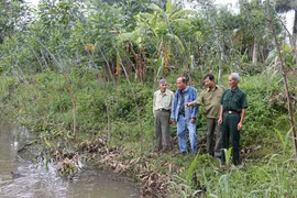 An Khê: Cựu thanh niên xung phong thi đua phát triển kinh tế