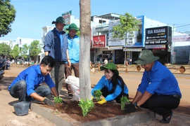 Đoàn viên thanh niên TP.Pleiku thực hiện công trình "Tuyến đường hoa thanh niên"