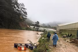 Lâm Đồng: Tìm thấy thi thể người bị lũ cuốn sau 5 ngày