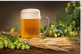 Phát hiện "thần dược" đẩy lùi cao huyết áp, tiểu đường trong... bia