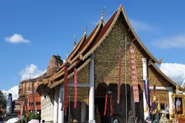 Bình yên lắm Chiang Mai