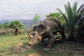 Khủng long "2 mặt" kỳ quái khiến giới khoa học choáng váng