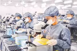 Xây dựng quan hệ lao động mới vì sự phát triển