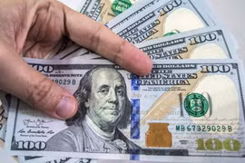 Tỷ giá ngoại tệ 26.11: USD chợ đen tăng vọt, giá vàng đủng đỉnh leo dần