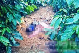 Bắt kẻ giết người, cướp của, vứt xác trong rẫy cà phê