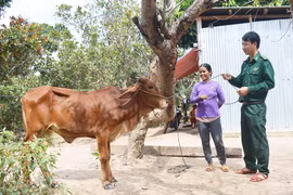 Đồn Biên phòng Ia Púch: Gắn bó mật thiết với nhân dân