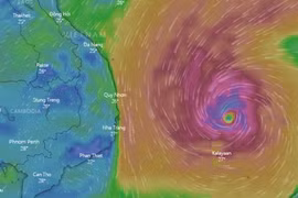 Bão cách Song Tử Tây 110km, miền Trung, Tây Nguyên mưa rất lớn từ đêm nay