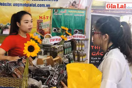 Sôi nổi Hoạt động "Trình diễn, giới thiệu công nghệ và sản phẩm làng nghề vùng Tây Nguyên"