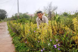 U70 làm lao công… miễn phí