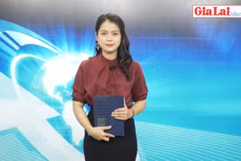 Gia Lai 48h: Ban Quản lý Rừng phòng hộ Chư Mố mất hơn 1.400 ha rừng