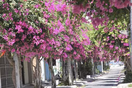 Nha Trang có những con đường