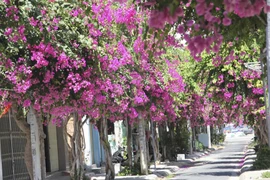 Nha Trang có những con đường