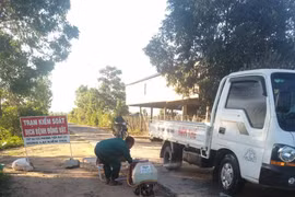 Ia Pa: Công bố hết dịch tả lợn châu Phi tại xã Ia Kdăm