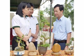 Bí thư Tỉnh ủy Gia Lai Dương Văn Trang: Nông hội phải đem lại lợi ích cho người dân