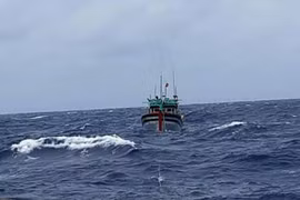 Tàu 788 cứu kéo tàu cá PY 92359 TS về đảo Sinh Tồn an toàn