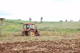 Kbang: Hơn 6.500 ha cây trồng vụ mùa bị thiệt hại do nắng hạn