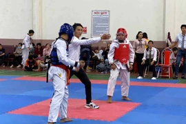 Gia Lai đăng cai Giải vô địch Taekwondo các CLB mạnh toàn quốc 2019
