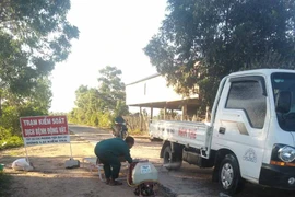 Ia Pa: Công bố hết dịch tả lợn châu Phi tại xã Ia Kdăm