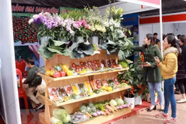 Gặp gỡ hữu nghị nông dân Việt Nam-Lào-Campuchia gắn với nông sản sạch