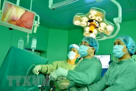 Việt Nam đã đạt trình độ cao trong điều trị bệnh lý gan mật tụy