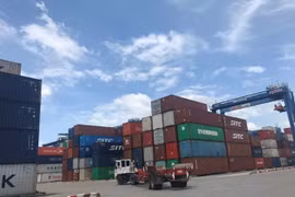 Hơn 11.000 lô hàng bị 'bỏ quên' tại cảng không ai nhận