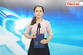 Gia Lai 48h: Sản phẩm đặc trưng của Gia Lai: Nan giải đầu ra