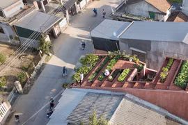 Vườn rau 7 bậc thang trên mái nhà ở Quảng Ngãi lên báo Mỹ