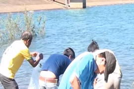 Chư Sê: Thả 30.000 con cá giống xuống hồ Ia Glai