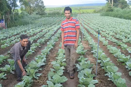 "Đầu tàu" của làng Wâu