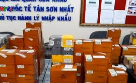 Hải quan sân bay Tân Sơn Nhất tạm giữ gần 2.500 điếu xì gà