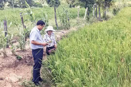 Phú Thiện: Chủ động triển khai nhiệm vụ từ đầu nhiệm kỳ