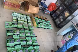 Phá đường dây vận chuyển ma túy từ Campuchia về TP.HCM, thu 47kg ma túy