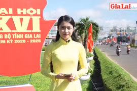 Đảng bộ tỉnh Gia Lai: Bước tiến vững chắc sau một nhiệm kỳ