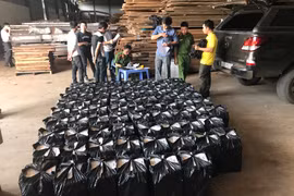 Lộ diện đường dây buôn lậu thuốc lá ở Gia Lai