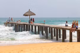 Quy Nhơn và tình ca của Trịnh