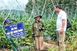 Gia Lai có 1 dự án khởi nghiệp của phụ nữ vào vòng thi cấp vùng