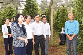 Phó Chủ tịch nước Đặng Thị Ngọc Thịnh: Đak Đoa nỗ lực thực hiện các chỉ tiêu trong nhiệm kỳ mới