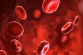 Một biến thể máu hiếm giúp ngăn ngừa bệnh sốt rét