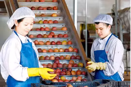 Gỡ bỏ rào cản để thúc đẩy xuất khẩu