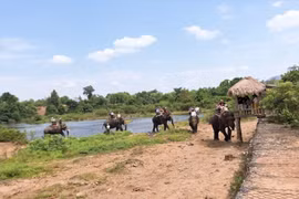 Di tích quốc gia bộc lộ bất cập, Đắk Lắk ''sốt ruột'' chờ được giao quản lý