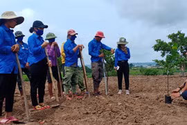 Nâng hạn mức cho vay đối với hộ thanh niên nghèo: Yêu cầu từ thực tế