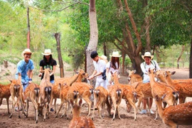 Du lịch Nha Trang mở cửa lại