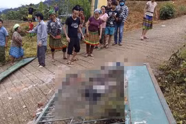 Lào Cai: Đổ sập cổng trường mầm non khiến 3 học sinh tử vong