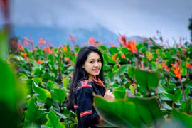 Mùa hoa dong riềng ở Chư Đang Ya