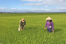 Gia Lai: Tạo động lực phát triển kinh tế tập thể